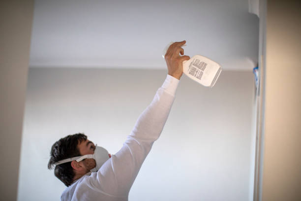Best Mold Remediation  in South Roxana, IL