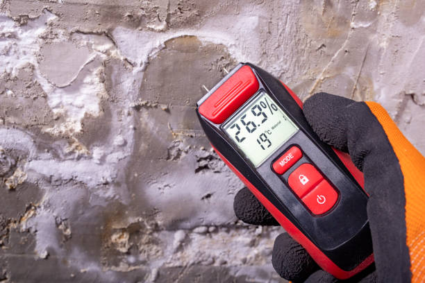 Crawl Space Mold Removal in South Roxana, IL