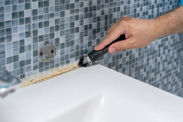 Best Mold Removal Company Near Me  in South Roxana, IL